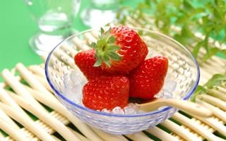 青岛红狮 VS 重庆铜梁龙